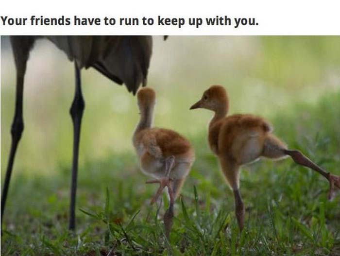 Problems That Only Tall People Can Relate To (30 pics)