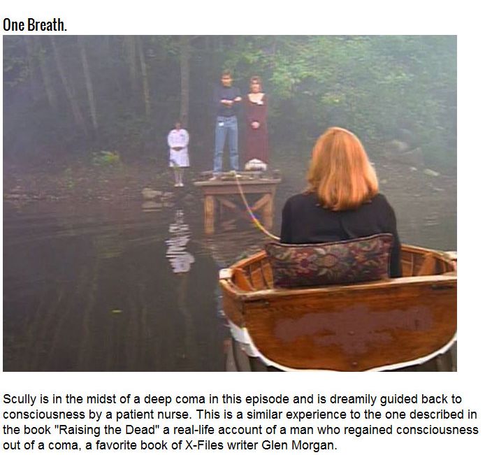 5 X-Files Episodes That Were Based On True Stories (5 pics)