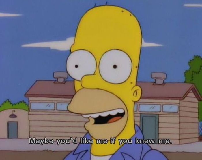 These Quotes From The Simpsons Are So True To Life (20 pics)