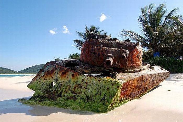 Acid Picdump (115 pics)