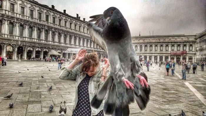 Acid Picdump (115 pics)