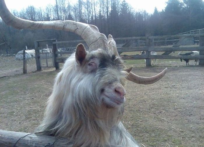 Acid Picdump (115 pics)