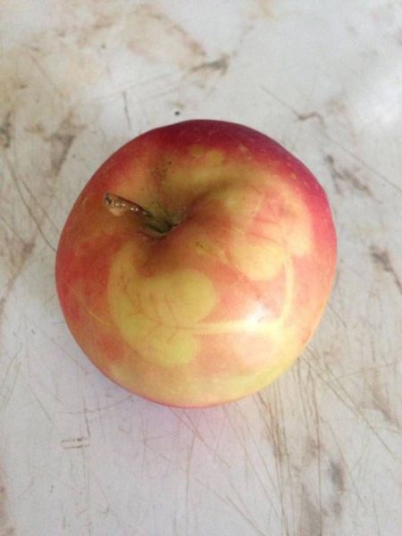 Acid Picdump (115 pics)
