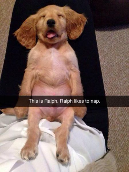 Acid Picdump (115 pics) Acid Picdump (115 pics)