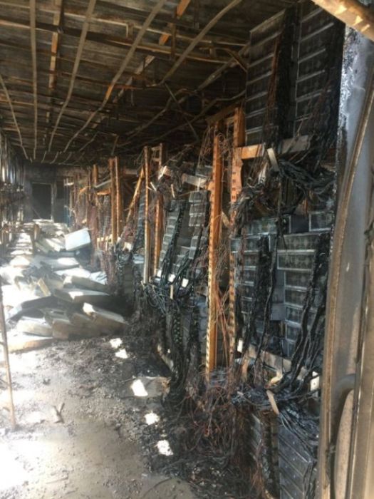 Bitcoin Farm In Thailand Burns To The Ground (15 pics)