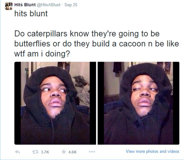 Hilarious Stoner Tweets That Will Make You Rethink Life (12 pics)