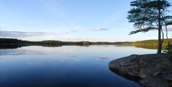 This Lodge In Sweden Gives You Hard Work To Help You Relax (19 pics)