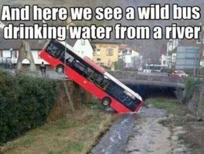 Acid Picdump (85 pics)