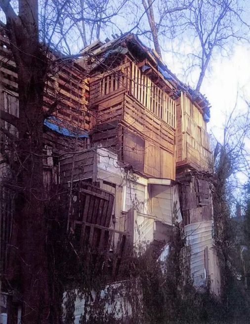 Acid Picdump (85 pics)