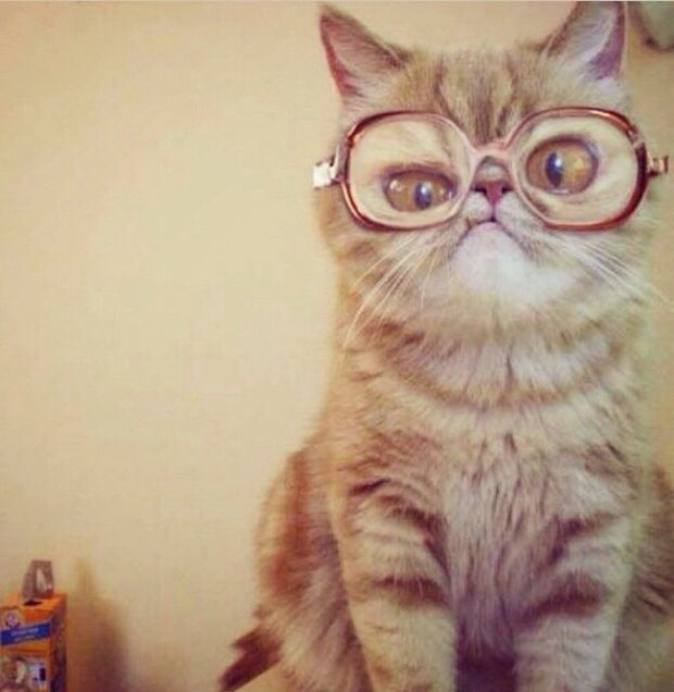 Acid Picdump (85 pics)