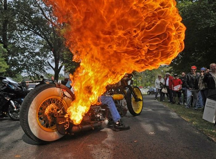 Acid Picdump (85 pics)