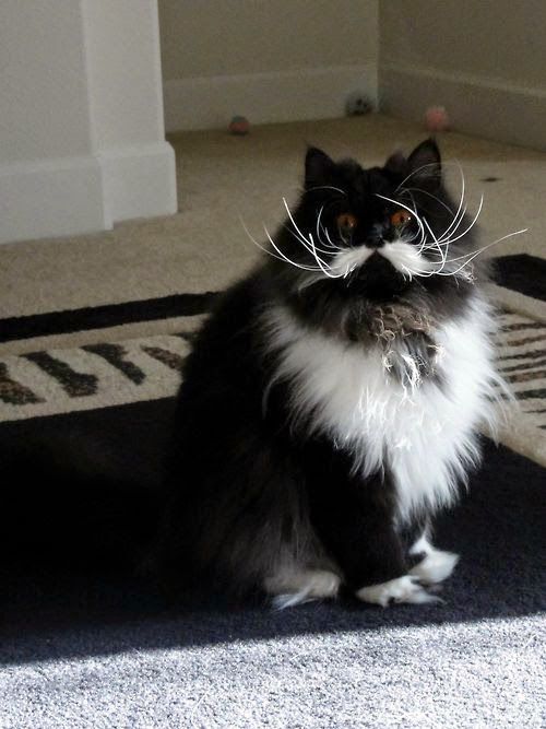 Acid Picdump (85 pics)
