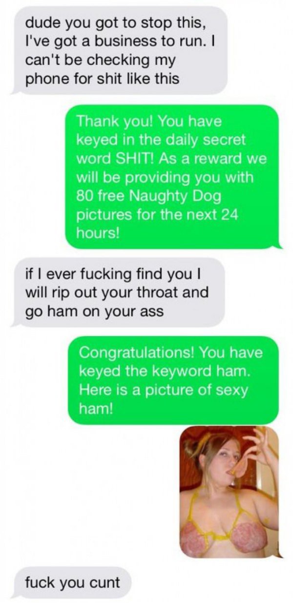 This Guy Trolls A Text Spammer And Completely Turns The Tables (7 pics)