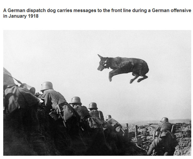 Incredible Photos From History (24 pics)