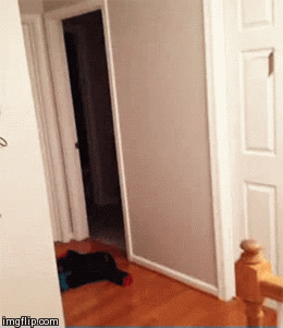 Facepalm Moments. Part 12 (43 pics)