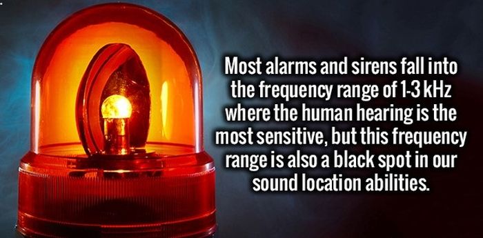 These Facts Will Get Your Brain Going (35 pics)
