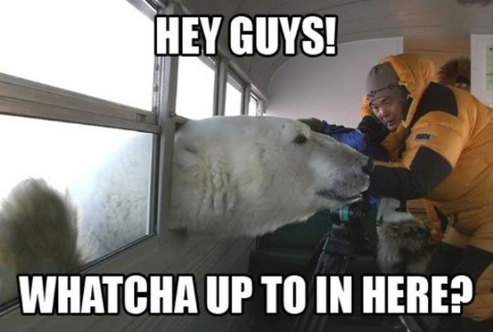 Acid Picdump (111 pics)