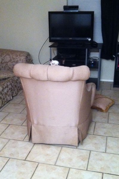 Acid Picdump (111 pics)
