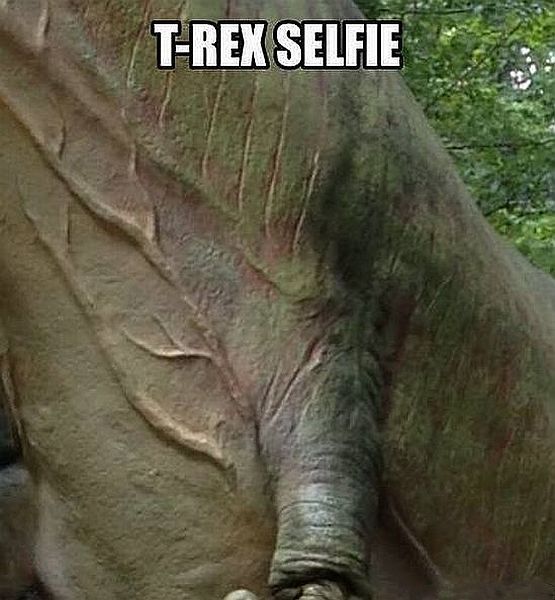 Acid Picdump (111 pics)