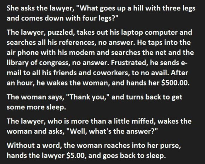 The Best Way To Deal With Annoying Lawyers (3 pics)