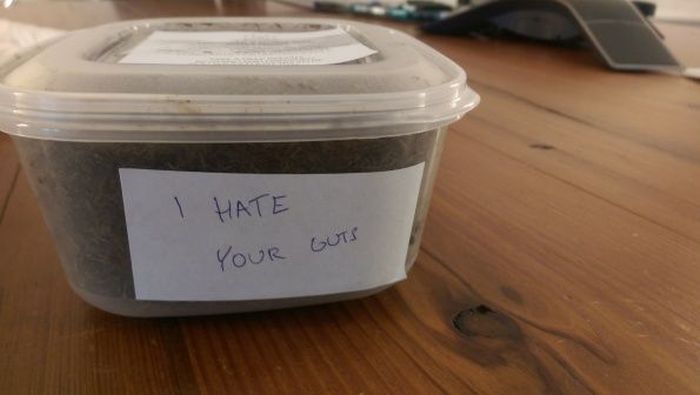 This Is A Great Way To Get Back At Your Enemies (6 pics)