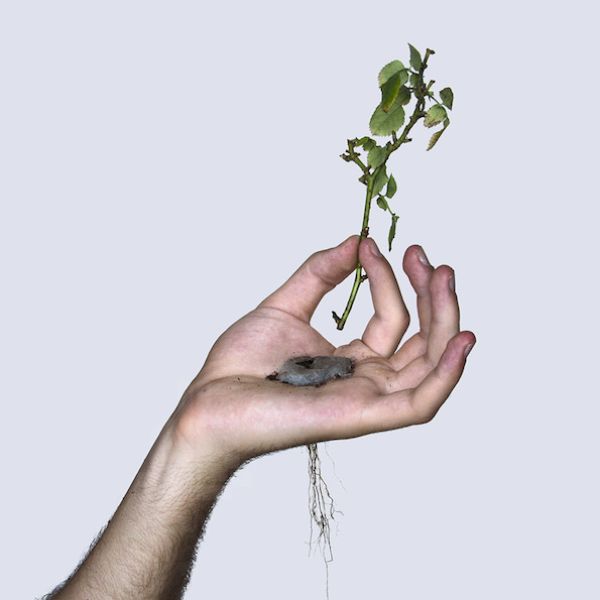 Planting A Flower In Your Hand (5 pics)