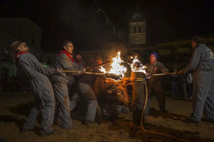 Live Bulls Are Being Set On Fire At This Spanish Festival (22 pics)