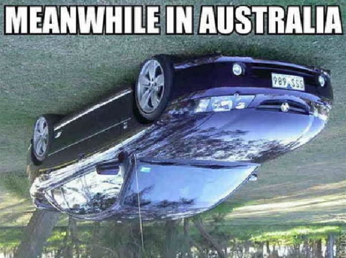 Meanwhile, All Over the World (46 pics)