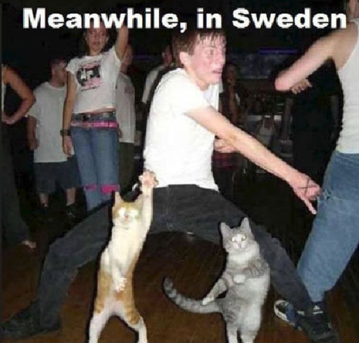 Meanwhile, All Over the World (46 pics)