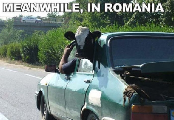 Meanwhile, All Over the World (46 pics)