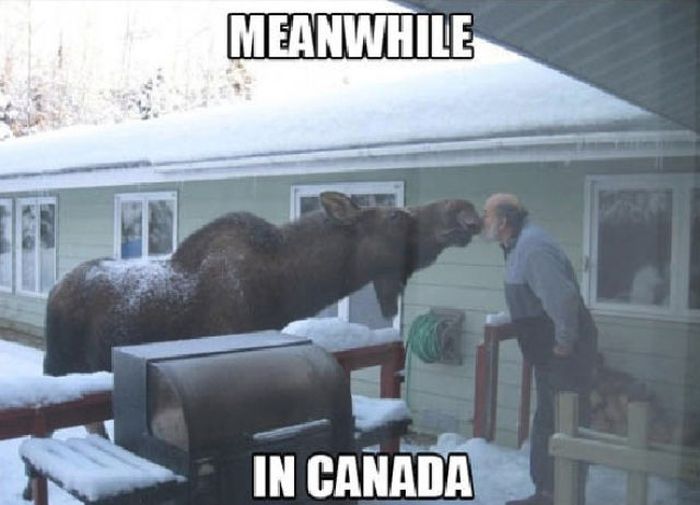 Meanwhile, All Over the World (46 pics)