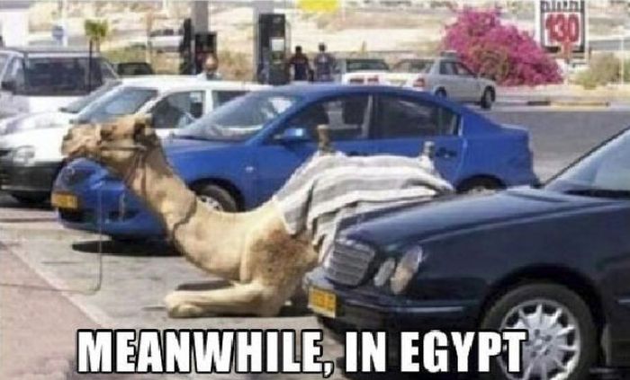 Meanwhile, All Over the World (46 pics)
