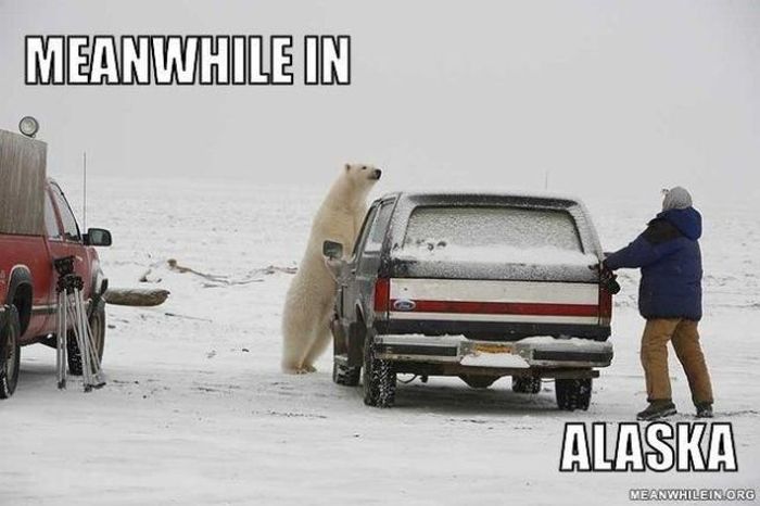 Meanwhile, All Over the World (46 pics)