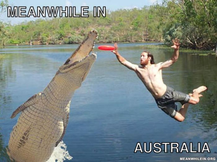 Meanwhile, All Over the World (46 pics)