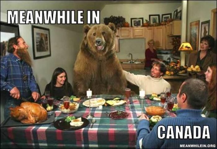 Meanwhile, All Over the World (46 pics)