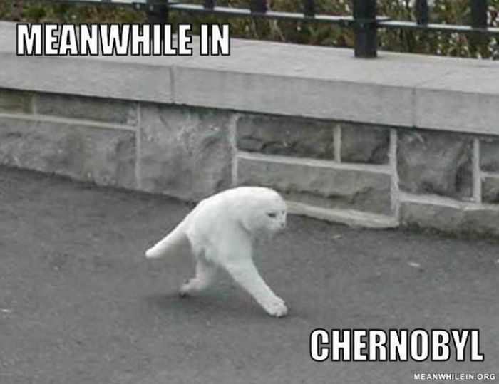 Meanwhile, All Over the World (46 pics)