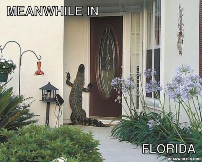 Meanwhile, All Over the World (46 pics)