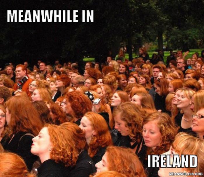 Meanwhile, All Over the World (46 pics)