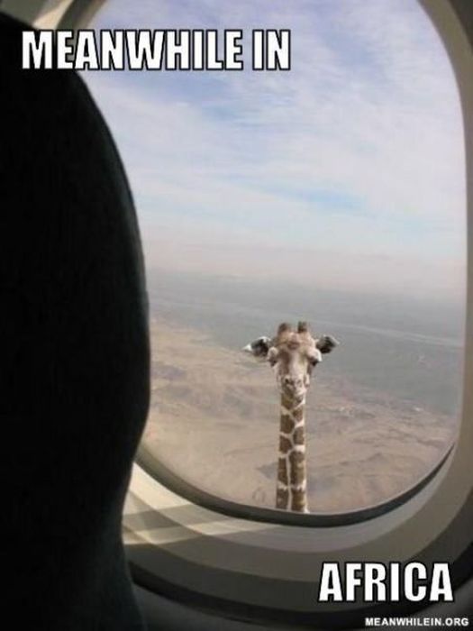 Meanwhile, All Over the World (46 pics)