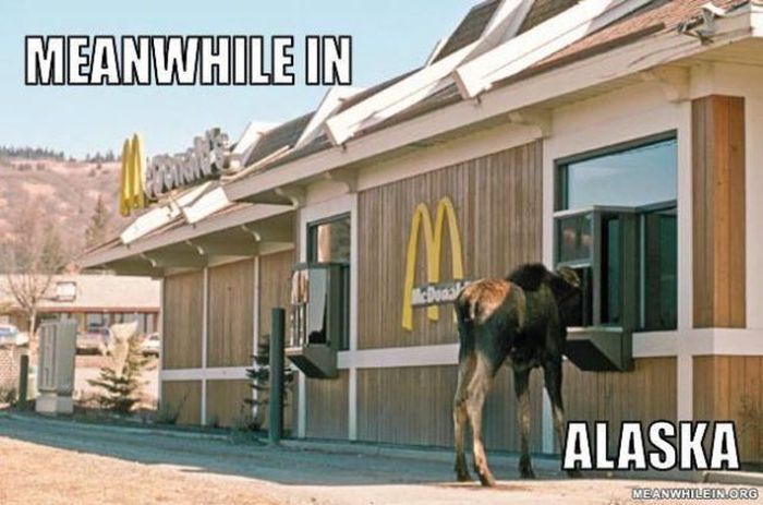 Meanwhile, All Over the World (46 pics)