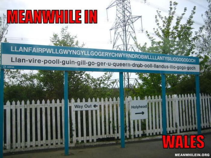 Meanwhile, All Over the World (46 pics)