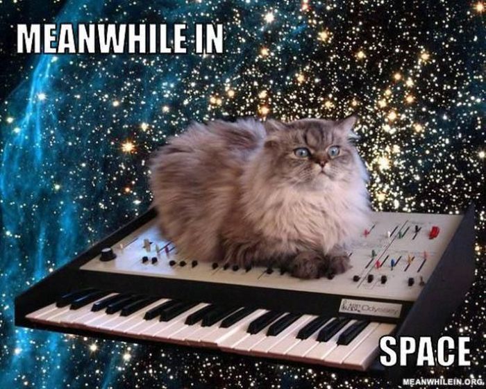 Meanwhile, All Over the World (46 pics)