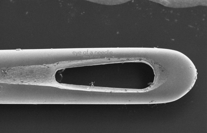 The Smallest Sculptures In The World (9 pics)