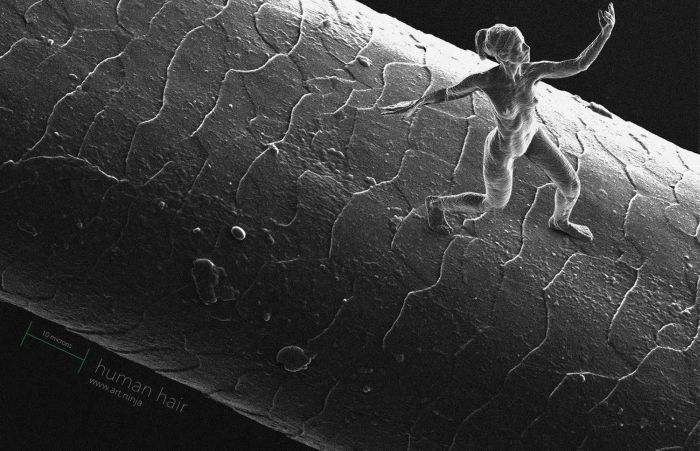 The Smallest Sculptures In The World (9 pics)