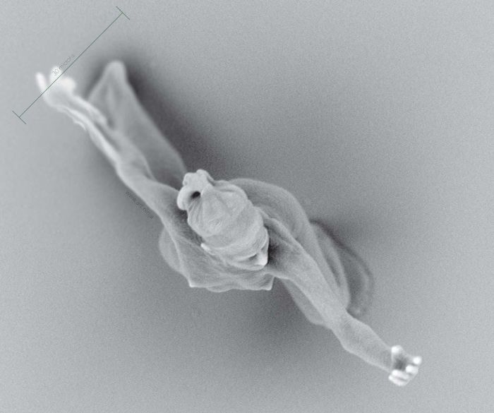 The Smallest Sculptures In The World (9 pics)