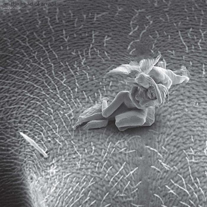 The Smallest Sculptures In The World (9 pics)