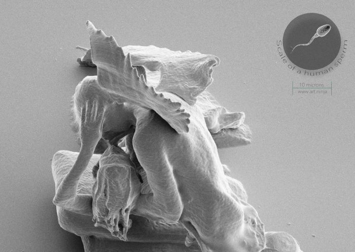 The Smallest Sculptures In The World (9 pics)