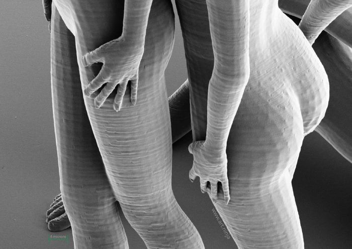The Smallest Sculptures In The World (9 pics)