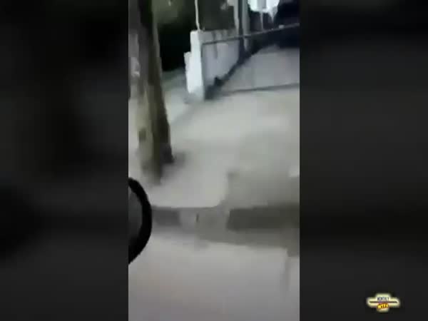 WTF Compilation