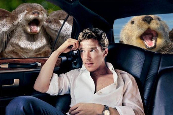 Benedict Cumberbatch Gets The Meme Treatment (13 pics)